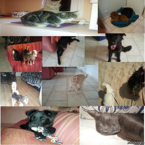 concours le plus de photo possible