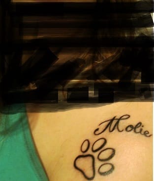 Y a t'il des gens qui aime  leur animaux au point de se faire tatouer leur portrait ou prénom ?