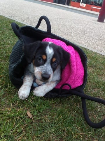 Une petite idée pour son prénom ?