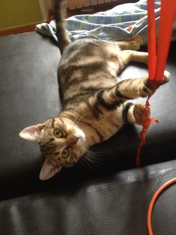 Bonjour à tous !!!!!!! :)