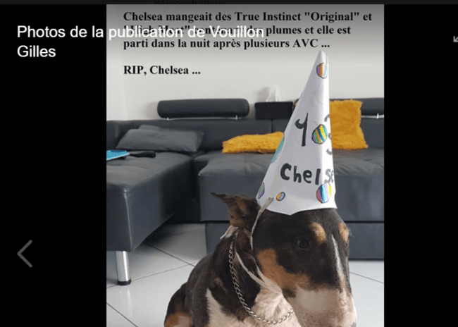 Croquette Toxique chez True Instinct avec la mort de plusieurs chiens pour Gille Vouillon ?