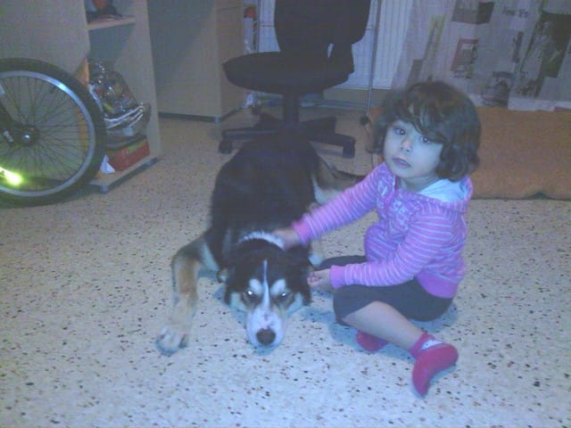 Mon chien ne mange pas