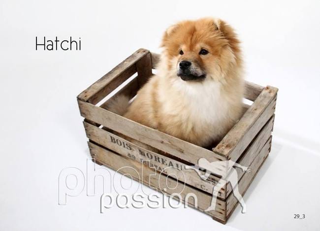 concours photo