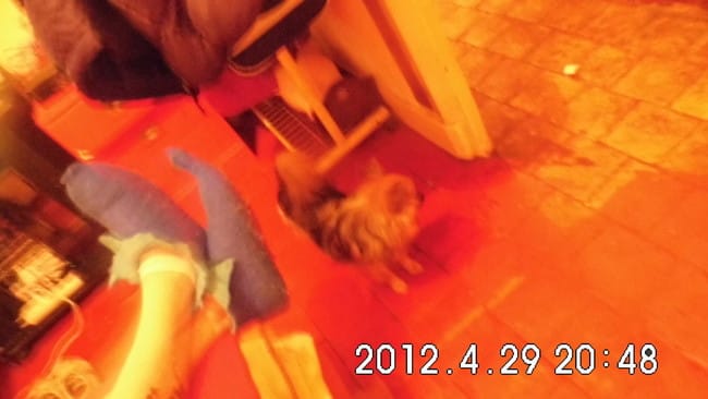 recherche cours d'obérythmée sur lyon