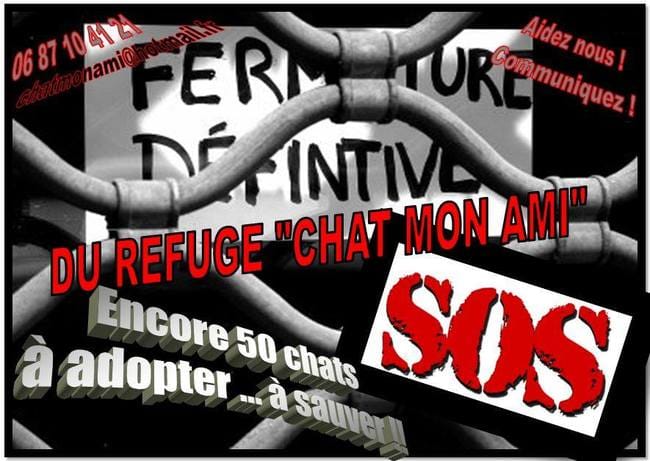 A Partager, c est URGENT!!!!
