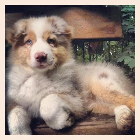 concours photos votez pour Naya SVPPPPP