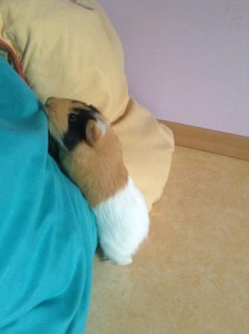 Encore moi *)