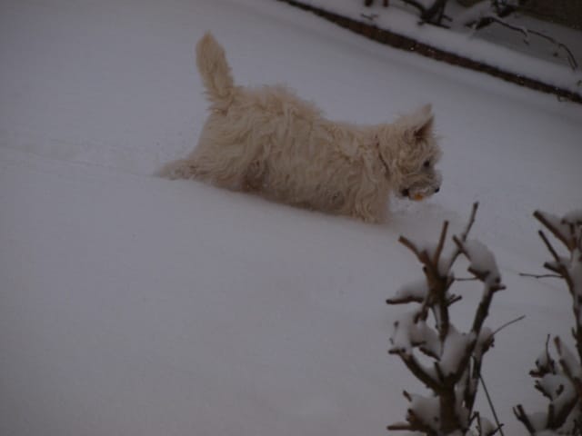 Pourquoi elle fait pipi sur..............ma fille