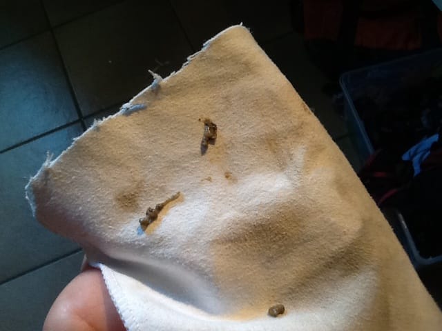 Urgences les crottes de mes souris .