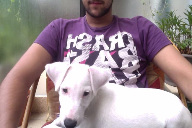 Conseils et Renseignements