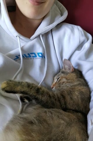 Ronronnement et Temps avant mise bas