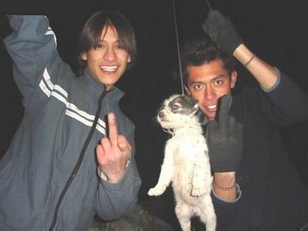 faire circuler d'urgence