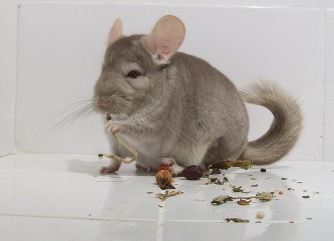 Besoin d'aide pour choisir un nom