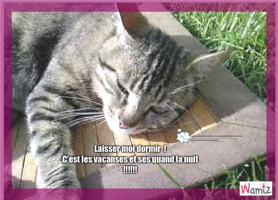 Si vous voulez bien ?