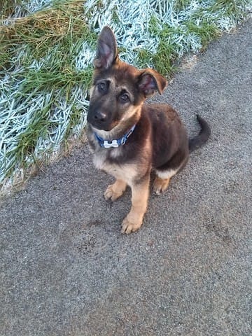 mon ptit bout vient d arriver