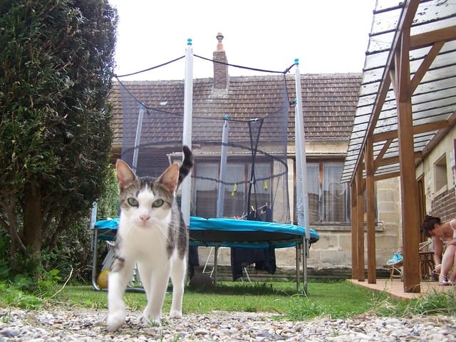 Mon Bounty a peur de l'orage.. 