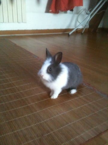 Zooplus ! Petits renseignements SVP ?