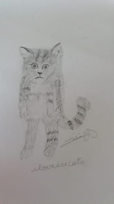 je dessine vos animaux !!!!!