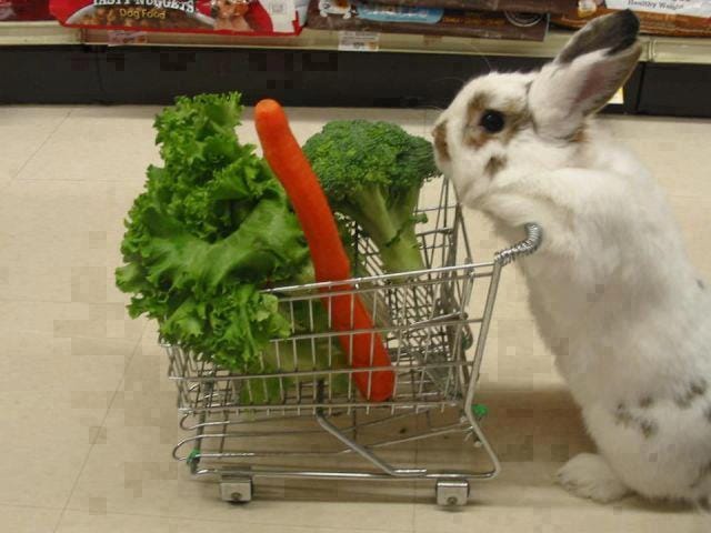 petit lapin fait ses courses