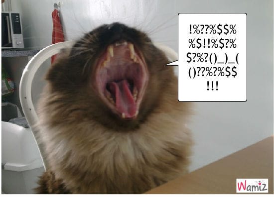 Pourquoi les animaux sont trop beaux?! ÇA ÉNERVEEEE (pas)!!!!!!