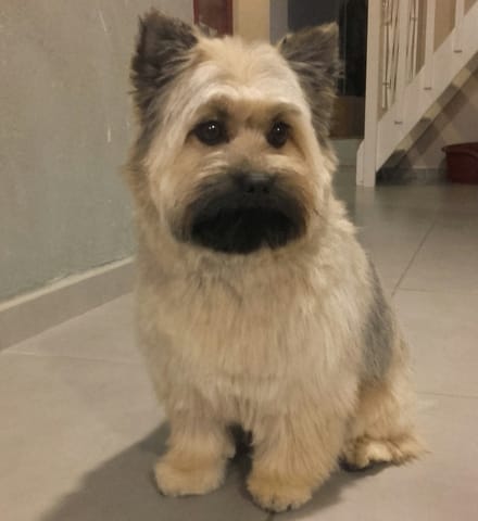 Vous préférez quelle coupe ? elle est croisé avec je ne sais pas ;)