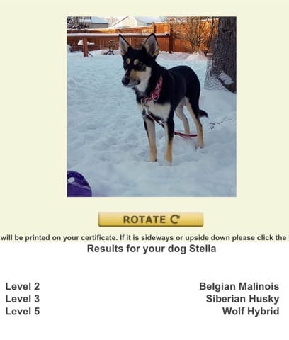 Test d'ADN