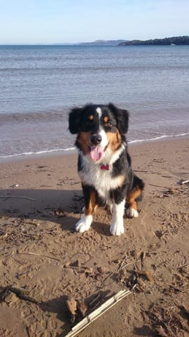 Mon bébé Jeep ! 