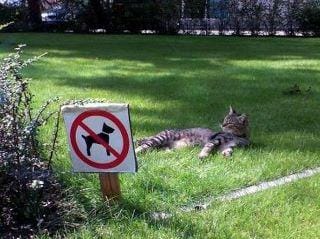 Une photo rigolote