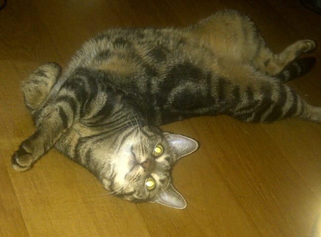 Bandida: la reine des coquines