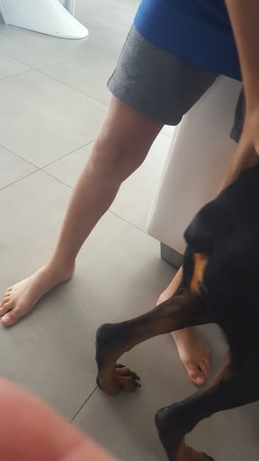 Boule sûr les fesses