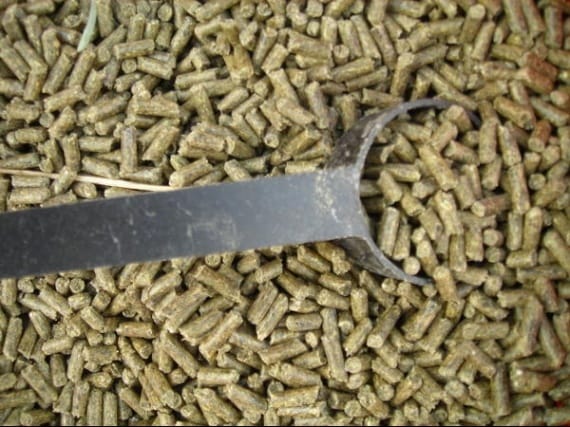 Alimentation du lapin, ont-ils faim ?