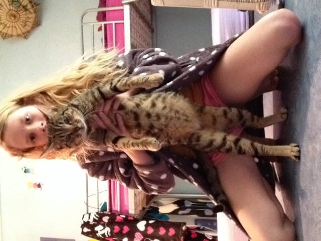 Comment aider ma chatte au mieux