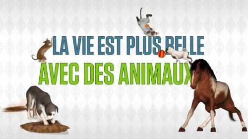 Stérilisation