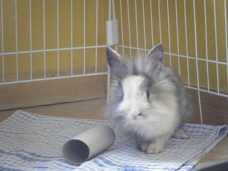 Je vous présente...