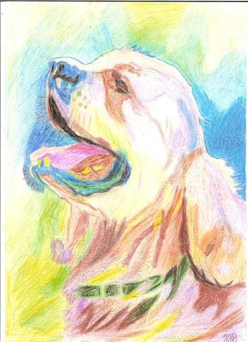 les dessins d'animaux