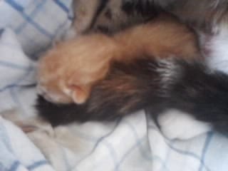 Accouchement : Est-ce normal ?