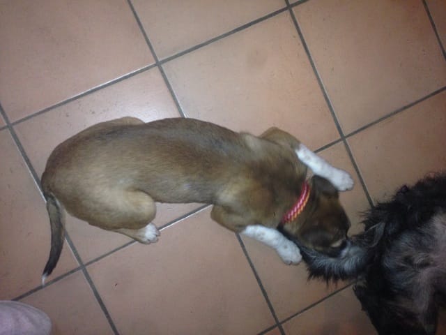 Un doute sur le croisement