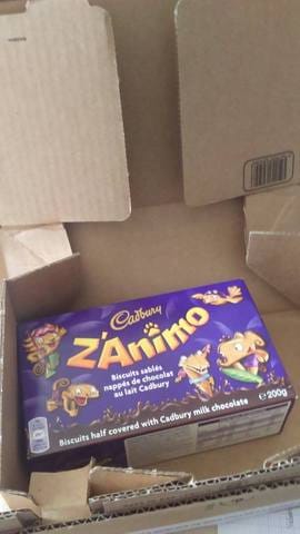 J'ai reçu le cadeau de Wamiz ! Z'animaux !