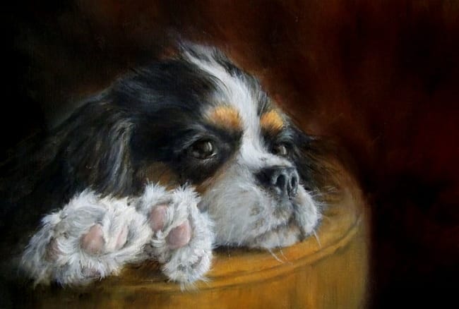 Peinture d'un Cavalier King Charles