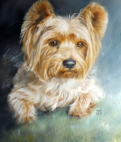 Peinture d'un joli Yorkshire