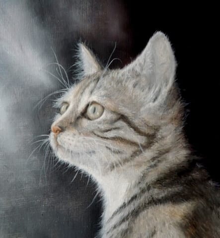 peinture d'un chat tigré gris