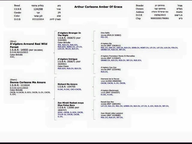 Votre avis sur ce LOF et sa carte d'identité avant achat