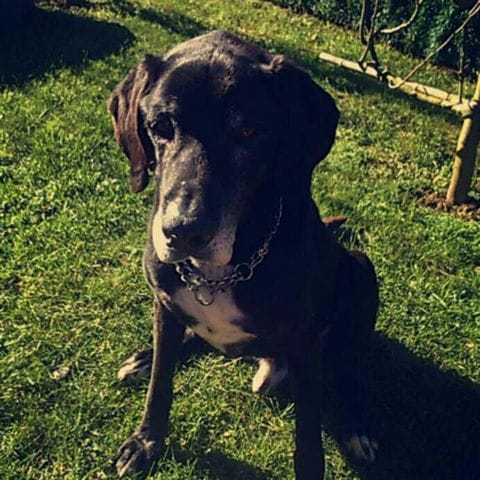 je n'y arrive pas... triste nouvelle... 