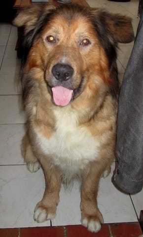 Je suis le flot des présentations :)