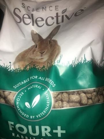 Graines lapin 4 ans pour lapin de 2 ans