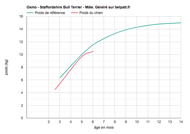 Perte de poids suite à changement de croquettes ?
