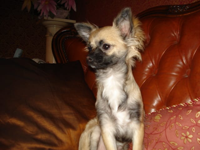 Echange de garde sur Paris