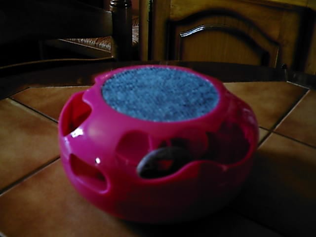 Jouets pour chats