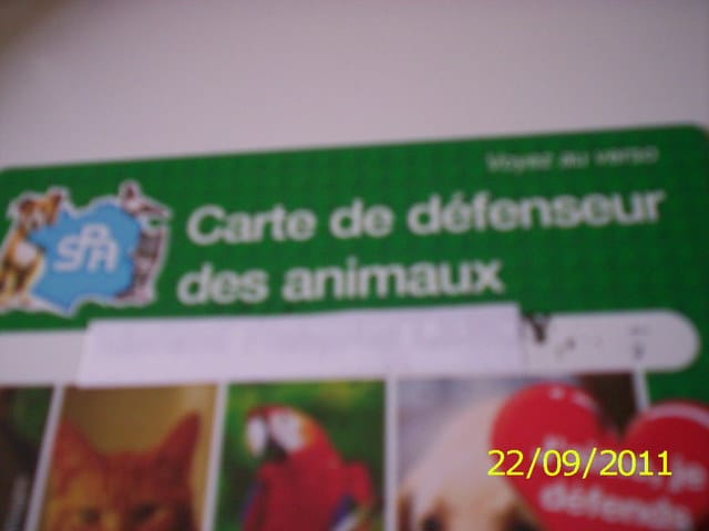defenseur des animaux
