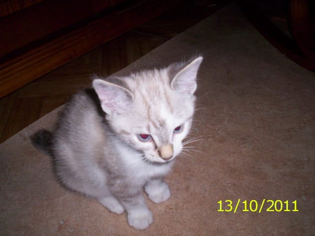 aujourdhui nolane a deux mois